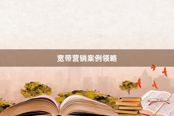 宽带营销案例领略
